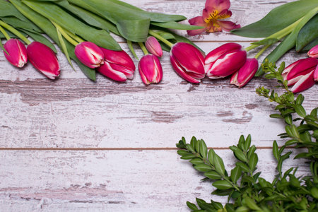 Pink tulips and greenery on shabby white wooden table with space for textの写真素材