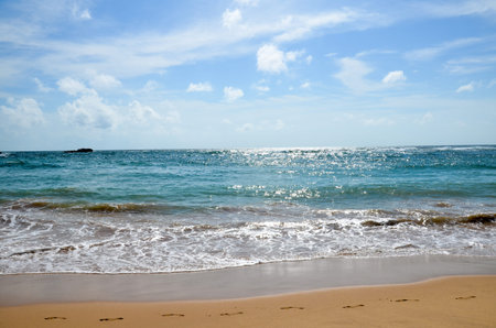 Romantic Untouched tropical beach in Sri Lankaの写真素材