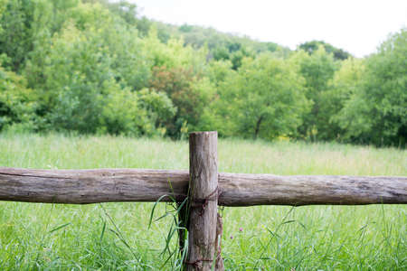 View on fence in middle of field with forest in distance.の写真素材