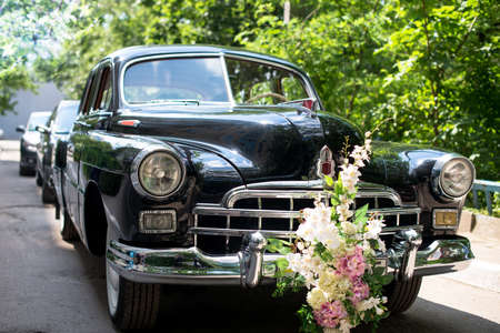 Retro wedding car, Juicy greens in the background. Motorcadeの写真素材