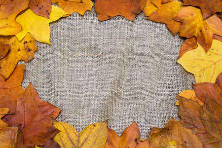 Colorful and bright background, autumn leaves, on sackcloth background. Autumn concept.の写真素材