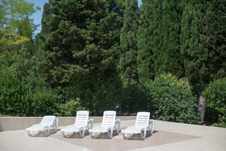 sunbeds with in the garden on a sunny day.の写真素材