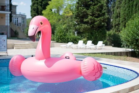 PINK FLAMINGO IN A SWIMMING POOL.の写真素材