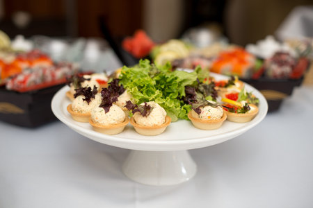 Set of tasty canape, on a plate of greens, tomatoes, peppers, cheeseの写真素材