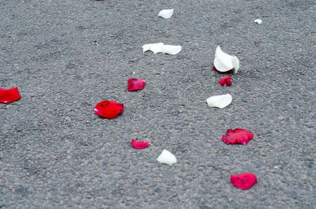 Rose petals on the floor. Wedding tradition of showering newlyweds with rose petals when they come out of the churchの写真素材