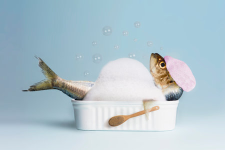 Sardine taking a bathの写真素材