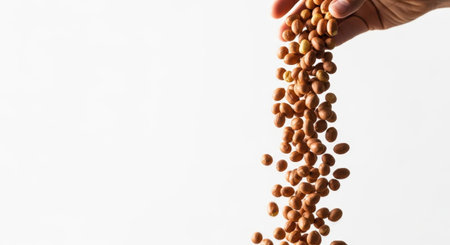Peanuts in hand on a white background. Healthy food concept.の素材