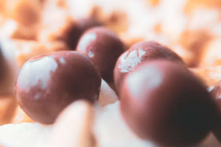 A close up of food. Delicious chocolate ball candies with crushed nutの写真素材