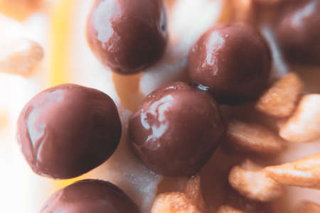 A close up of food. Delicious chocolate ball candies with crushed nutの写真素材