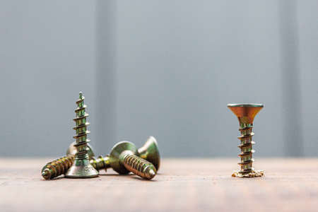 the screw into the wooden board surfaceの写真素材