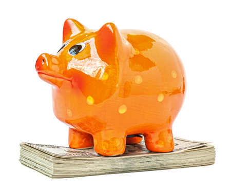 Money dollar with piggy bank isolated. saving concept. png transparentの写真素材