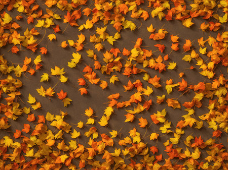 Colorful autumn leaves create a vibrant seasonal background, showing the beauty of nature in fallの素材