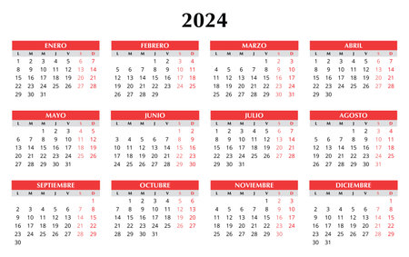 2024 spanish calendar. Simple vector template illustration in Spain. Horizontal. Plan your yearのイラスト素材