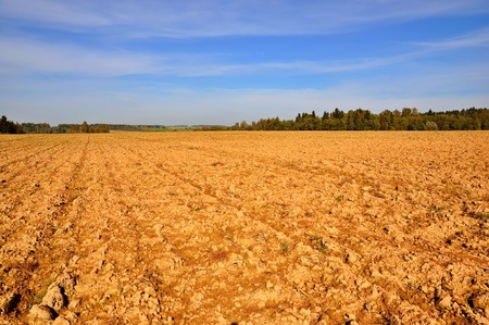 Farming field, trees and wonderful sky at sunny dayの写真素材