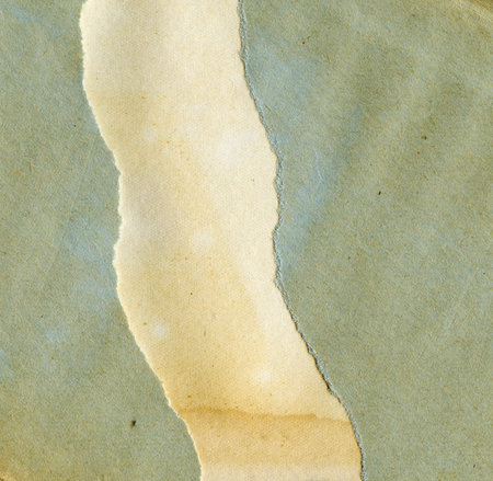Textured torn recycled paper with natural fiber parts