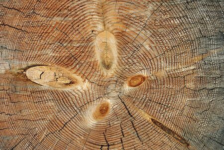 Rough wooden cut texture with tree rings and cracksの写真素材