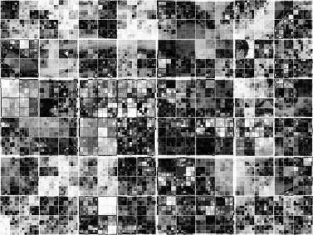 Abstract generated black and white pattern backgroundの写真素材