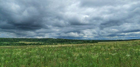 Summer rural landscape with cloudy sky, dry grass and trees