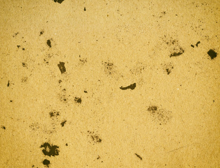 Textured stained rough recycled paper with natural fiber partsの写真素材