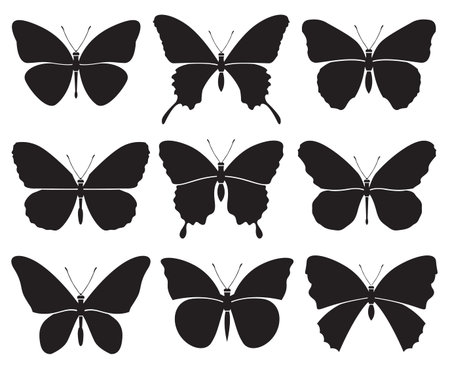 monochrome set of different butterfliesのイラスト素材