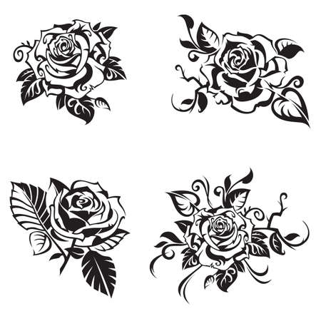 black rose set on white backgroundのイラスト素材