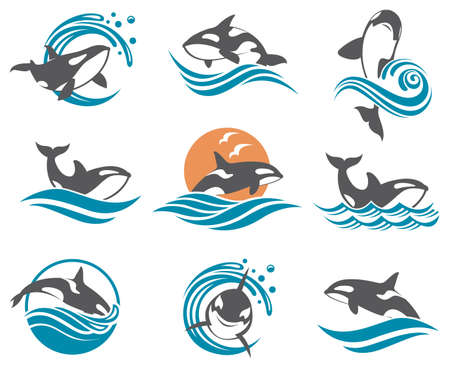 collection with abstract symbols of whale and sea waveのイラスト素材