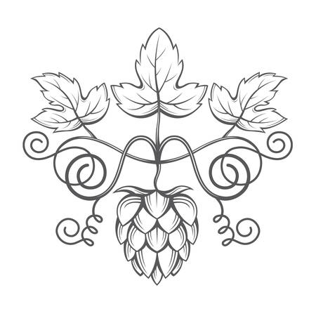 illustration of hops for brewingのイラスト素材