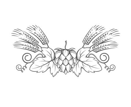 Black illustration of hop and barley ear for brewing.のイラスト素材