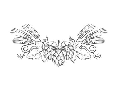 Black illustration of hop and barley ear for brewing.のイラスト素材