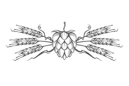 black illustration of hop and barley ear for brewingのイラスト素材