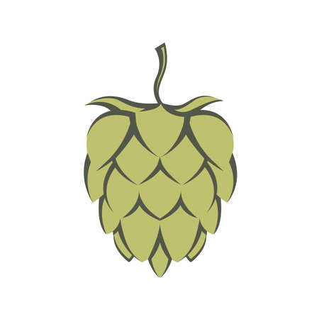 illustration of hops for brewingのイラスト素材