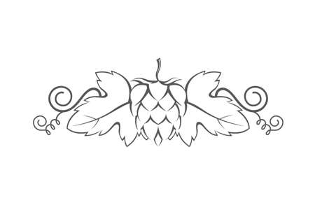 illustration of hops for brewingのイラスト素材