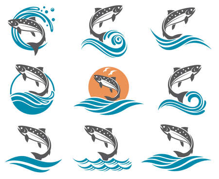 Collection of salmon fish images with wavesのイラスト素材