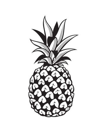 Black image of pineapple tropical fruitのイラスト素材