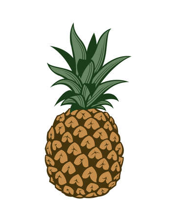 illustration of pineapple tropical fruitのイラスト素材