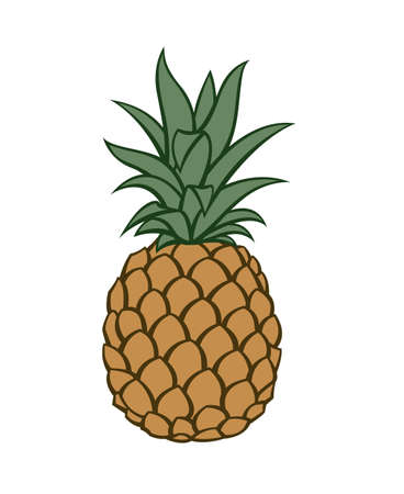 illustration of pineapple tropical fruitのイラスト素材