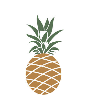 illustration of pineapple tropical fruitのイラスト素材