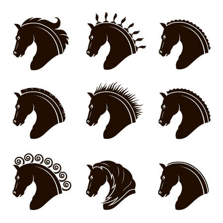 Horse heads with different manesのイラスト素材