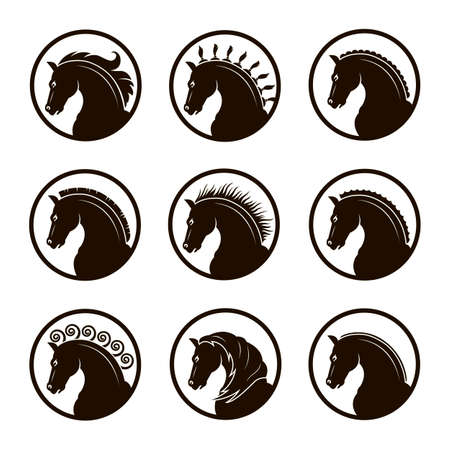 Collection of different heads of horse.のイラスト素材