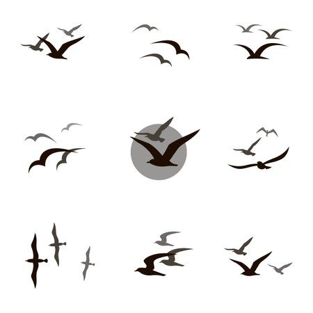 collection of black flying seagull silhouettes on white backgroundのイラスト素材