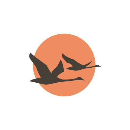 Abstract icon with flying swans and sun illustration.のイラスト素材