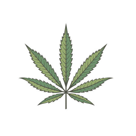 illustration of marijuana or cannabis leaf isolated on white backgroundのイラスト素材