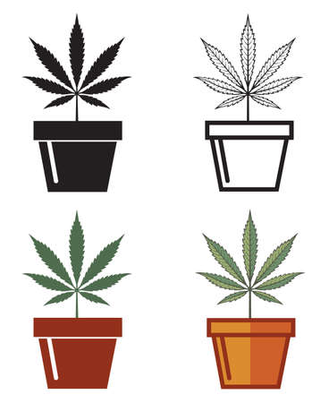collection of marijuana or cannabis leaf in pot isolated on white backgroundのイラスト素材