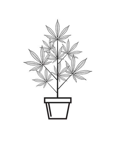 illustration of marijuana or cannabis plant in flower pot isolated on white backgroundのイラスト素材