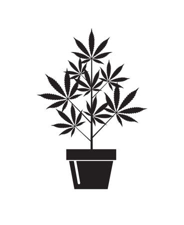 illustration of marijuana or cannabis plant in flower pot isolated on white backgroundの写真素材