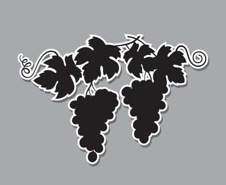 black illustration of grapes silhouette with bunches and leavesのイラスト素材