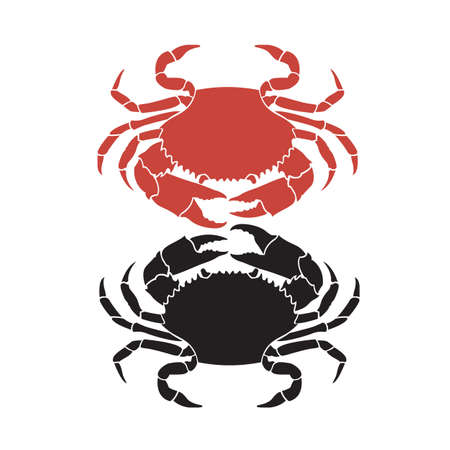 seafood image with crab isolated on white backgroundのイラスト素材