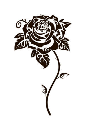 black rose flower image isolated on white backgroundのイラスト素材