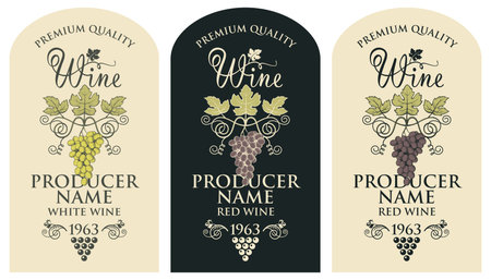 collection of vintage labels for wine bottlesのイラスト素材
