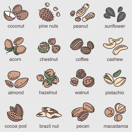 nuts icons setのイラスト素材